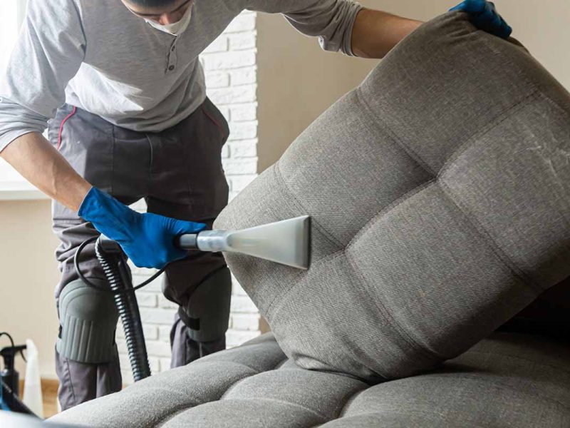 Man cleaning sofa chemical cleaning with professionally extraction method. Upholstered furniture. Early spring cleaning or regular clean up.